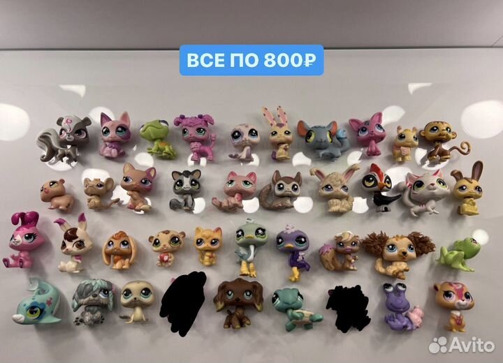Littlest Pet Shop