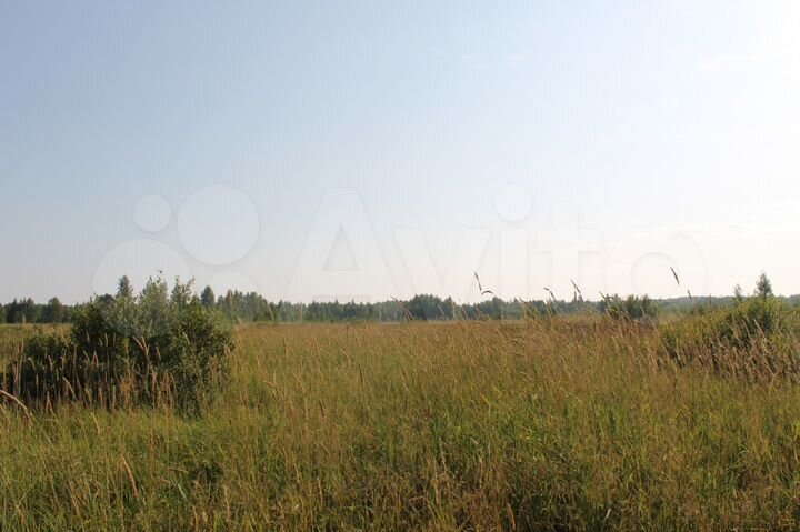 Участок 2,41 га (СНТ, ДНП)