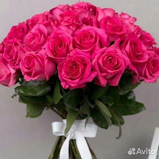 Цветы розы Эквадор