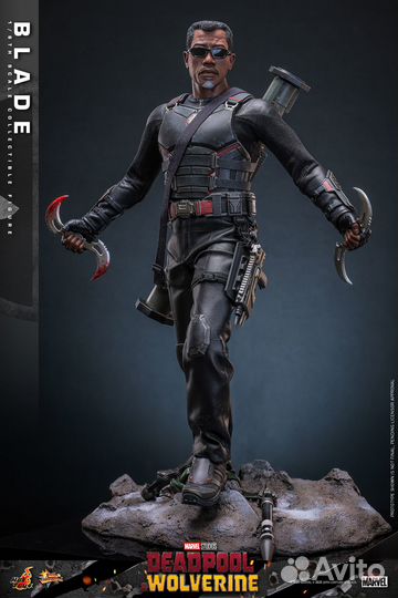 Новая фигурка Блэйда от Hot Toys