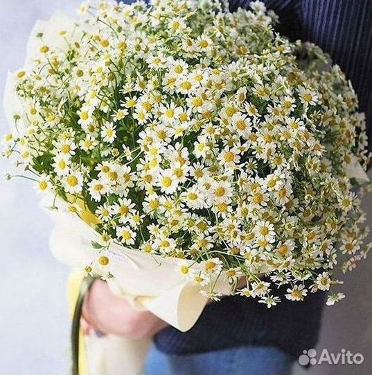 Ромашки Букет из ромашек доставка