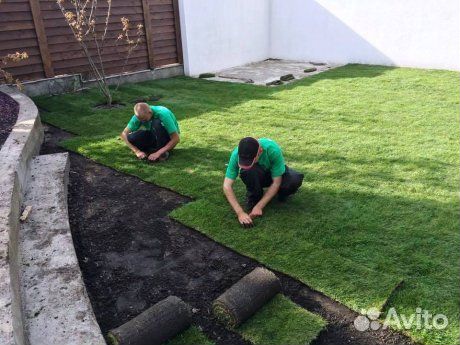 Рулонный газон