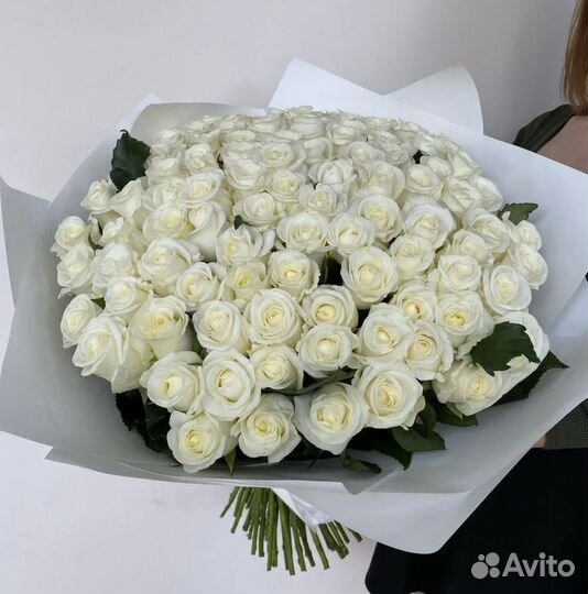 51 белая роза Иркутск