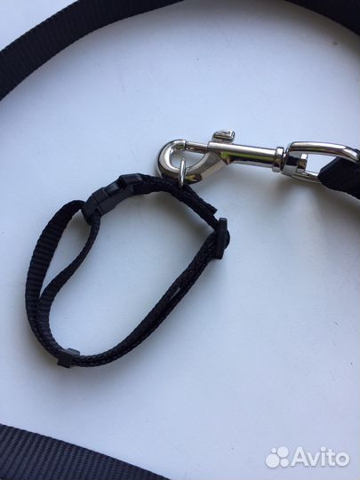 Ошейник+поводок для кошек и собак