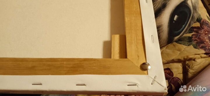 Картина кошка