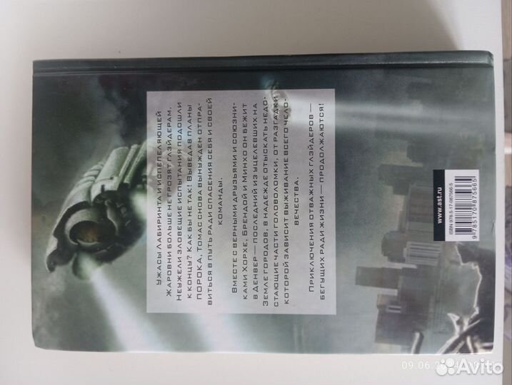 Книга Господство мысли (Автор Джеймс Дэшнер)