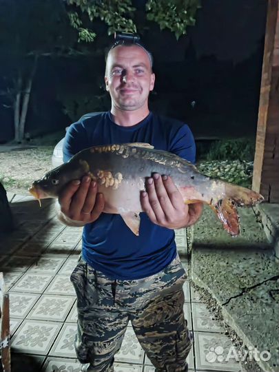 База отдыха 