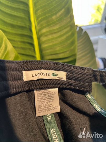 Кепка бейсболка Lacoste в ТЦ Дом Мод