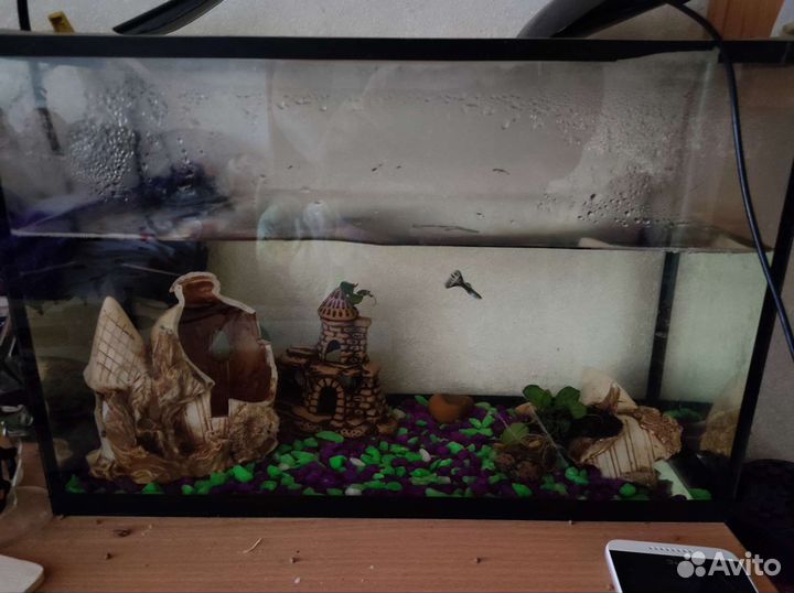 Аквариум с рыбками