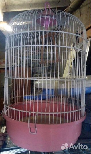 Клетка для птиц б/у. Круглая 45*28