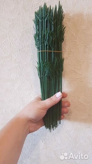 Флористическая зелень для букетов