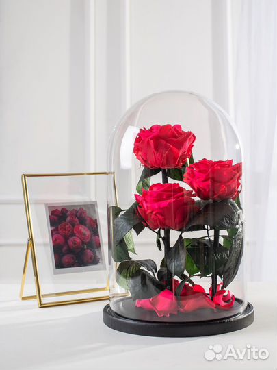 Долговечная живая роза в колбе