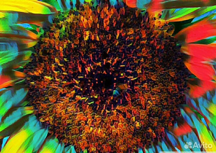 Фотоработы