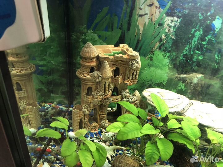Продам аквариум 200 литров