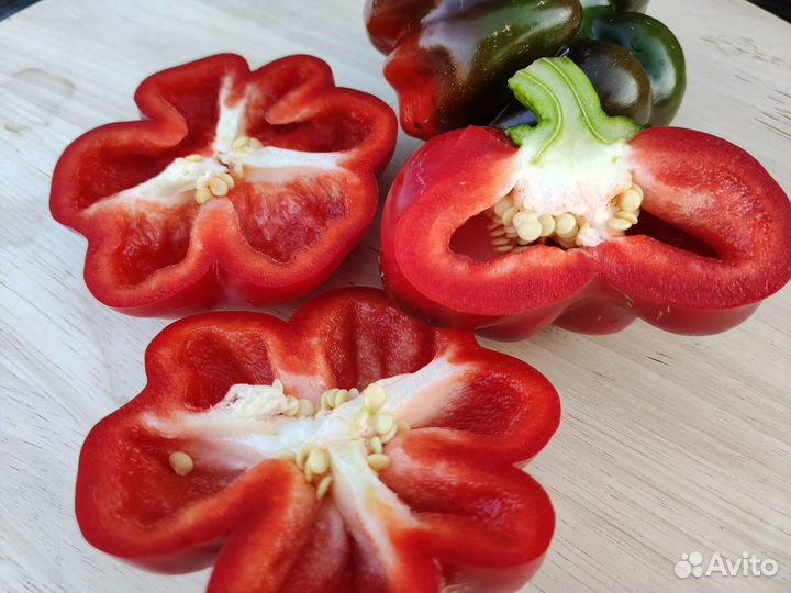 Семена перца ратунд (Болгария) 10сем