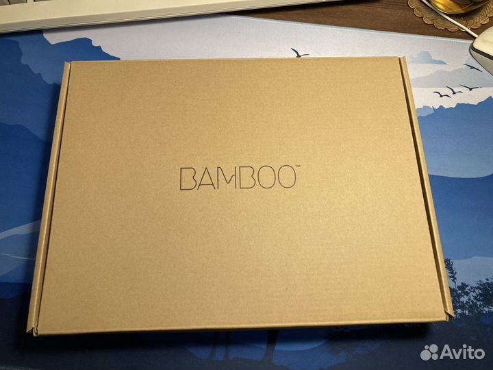 Wacom bamboo pen 470