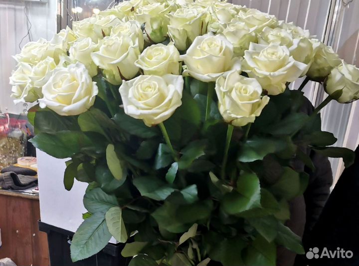 Розы букет цветов