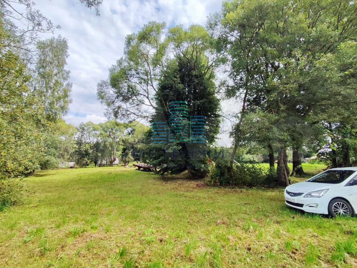 Участок 50 сот. (ИЖС)