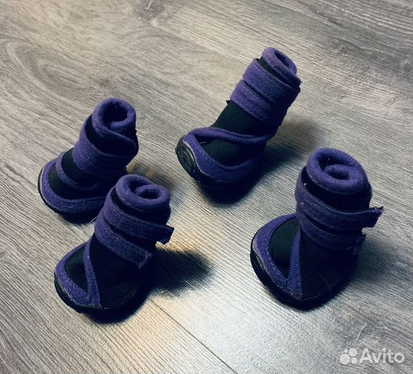 Обувь для собак