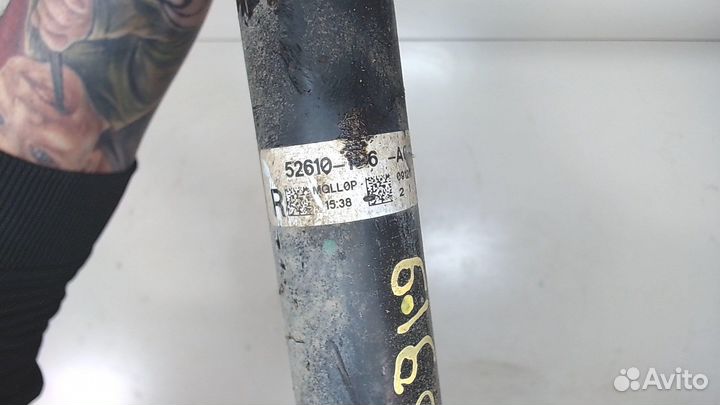 Амортизатор подвески Honda Crosstour, 2010