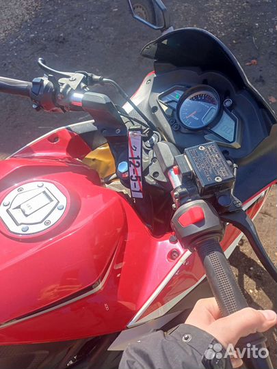 Racer RC250XZR-A storm