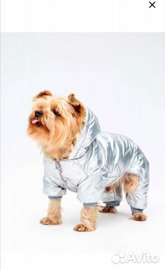 Курточка для собачки