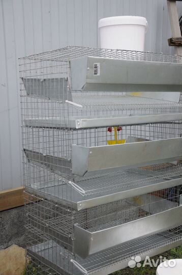 Клетка для перепелов