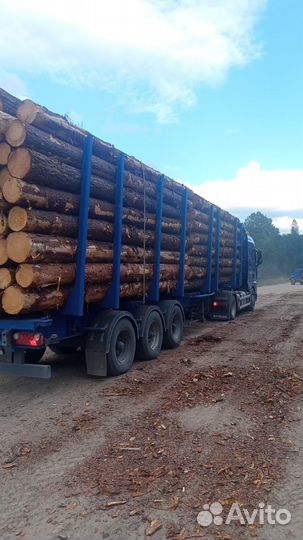 Пиловочник отборный