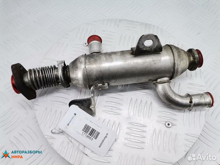 Охладитель EGR / Радиатор EGR Peugeot Partner
