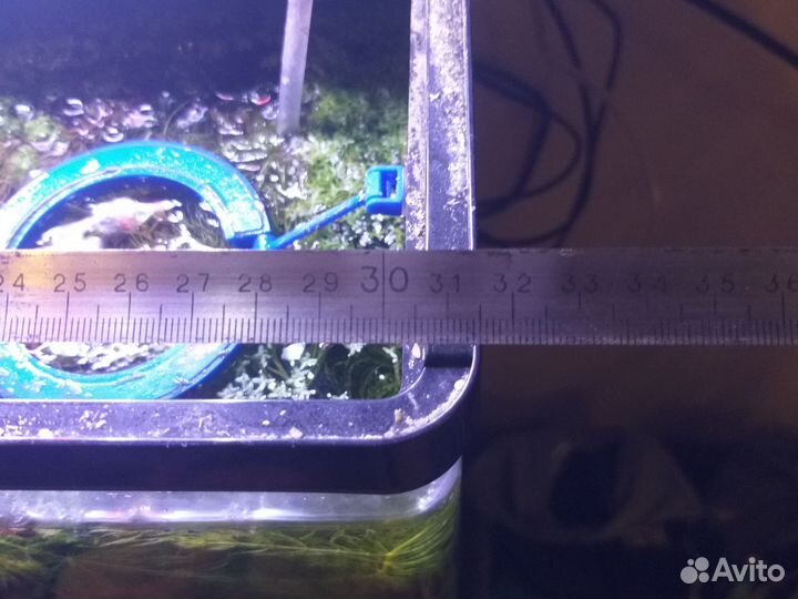 Аквариум с рыбками бу