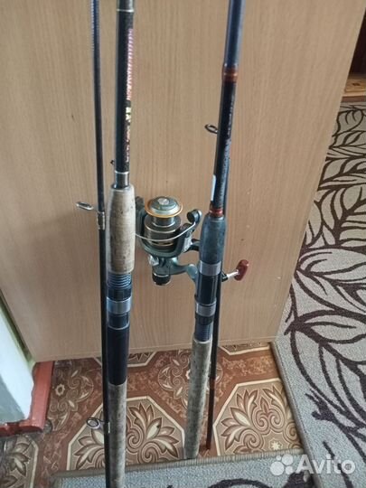 Беговые лыжи