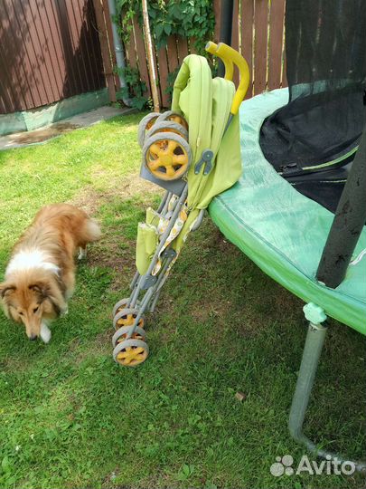 Прогулочная коляска трость