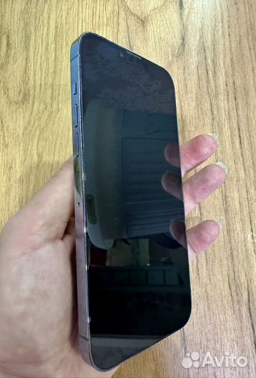 iPhone 13 Pro Max, 1 ТБ