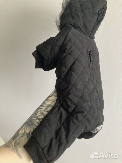 Теплый костюм для кошки или собаки s размера