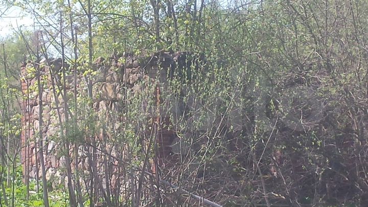 Участок 49 га (СНТ, ДНП)