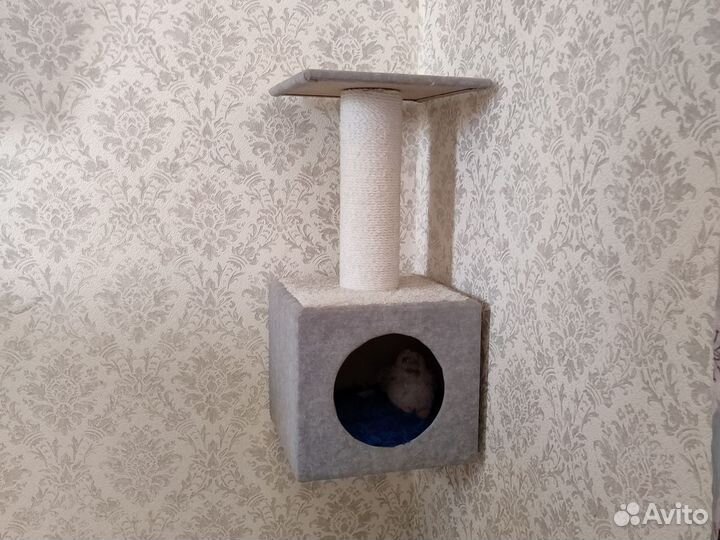 Домик когтеточка