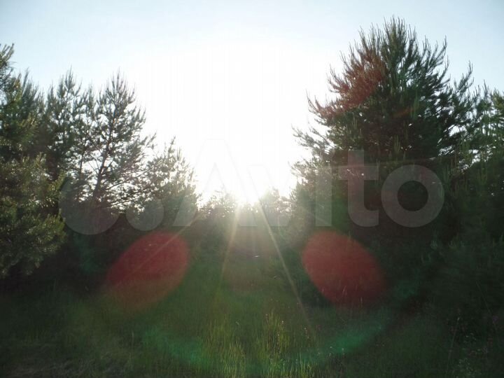 Участок 10 сот. (СНТ, ДНП)