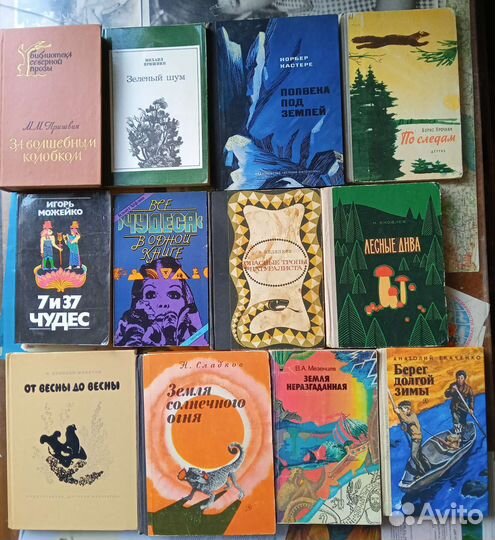 Животные Путешествия Природа Пираты Пчелы