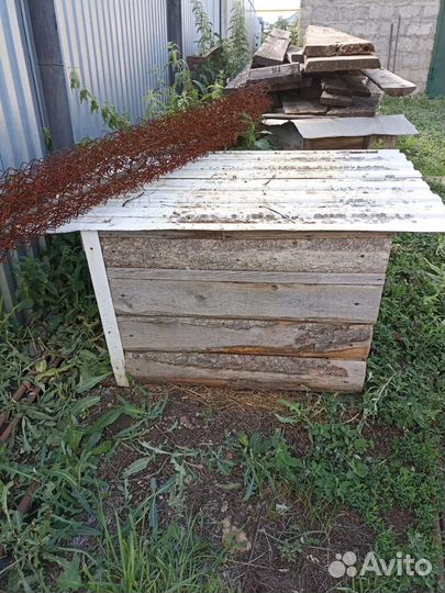 Собачья будка