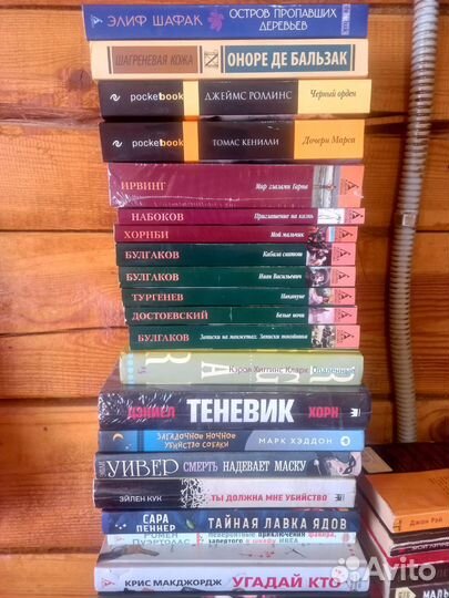 Книги: классика и современная литература