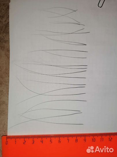 Кошачьи усы