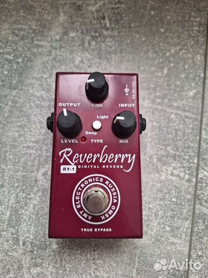 Гитарная педаль Amt Reverberry