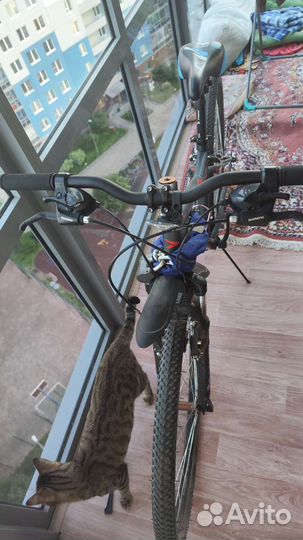 Велосипед forward flash 3.0