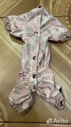 Дождевик для маленькой собаки