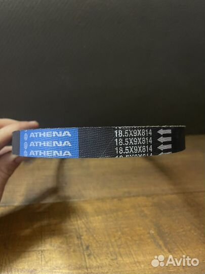 Ремень athena stalker 50 18.5x9x814