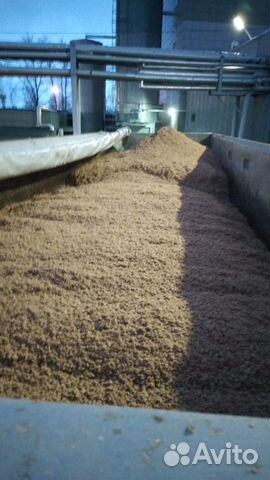 Пивная дробина (свежая)