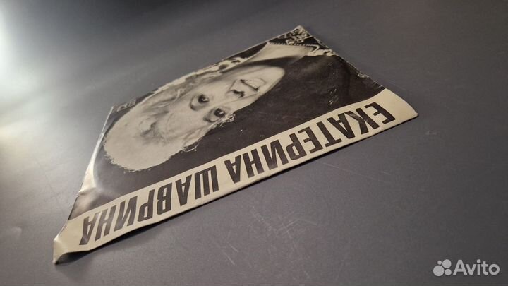 Виниловая пластинка. Екатерина Шаврина - Какая пес