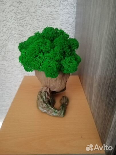 Ручная работы из стабилизированного мха