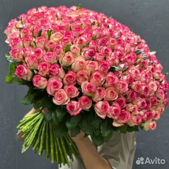 101 роза 60 см/ Букеты из 101 роз/Доставка