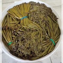 Папоротник